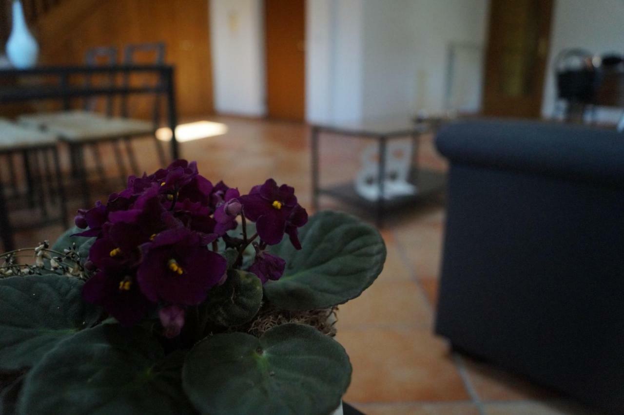 Bed & Breakfast Bonjour Bonheur